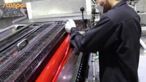 Printer's ink input tray